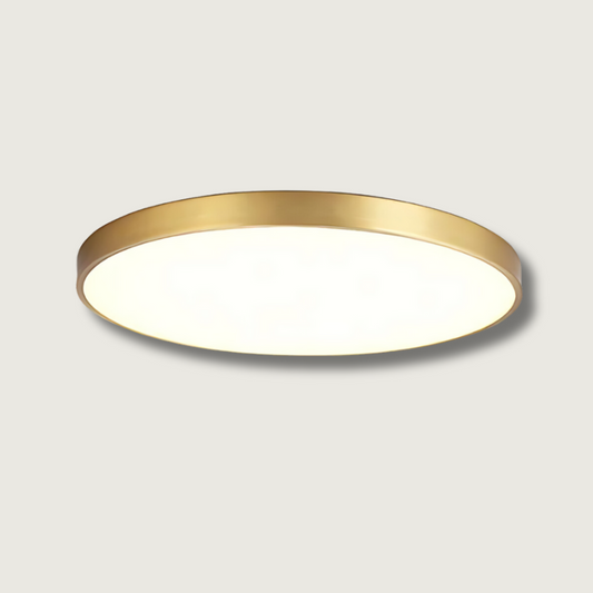 Anillo de luz elegante – Estilo y funcionalidad en un solo diseño