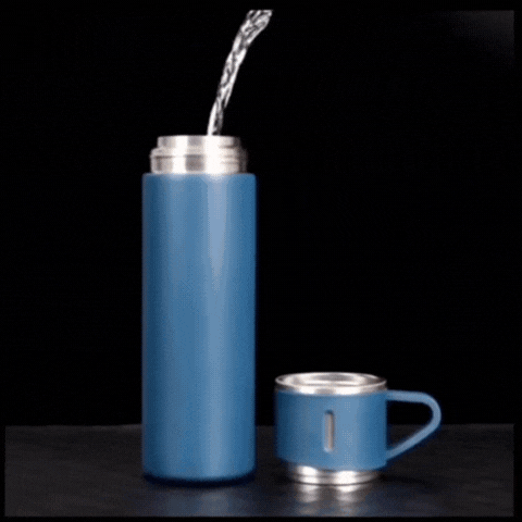 Termo Acero Inoxidable Doble Pared